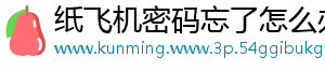 纸飞机密码忘了怎么办